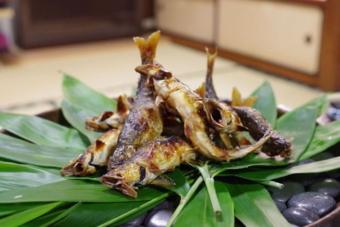 口福になる天然鮎の素晴らしさ。高津川で育つ鮎の魅力