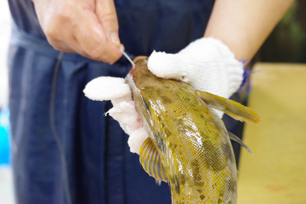 「神経締めで極上の魚の味を実現」北日本神経〆師会 塩谷孝さんRELATED