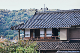 「すべて、鹿がつないでくれた」――鹿との出会いから始まった、広島と世界をつなぐプロジェクト。おいしんぐ! プロデューサー 金沢大基 ＜Vol.3＞